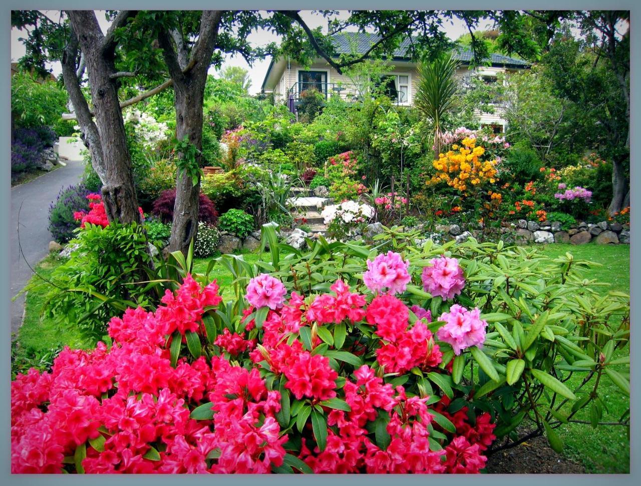 Mcauley Glen Boutique B&B Portobello Dış mekan fotoğraf