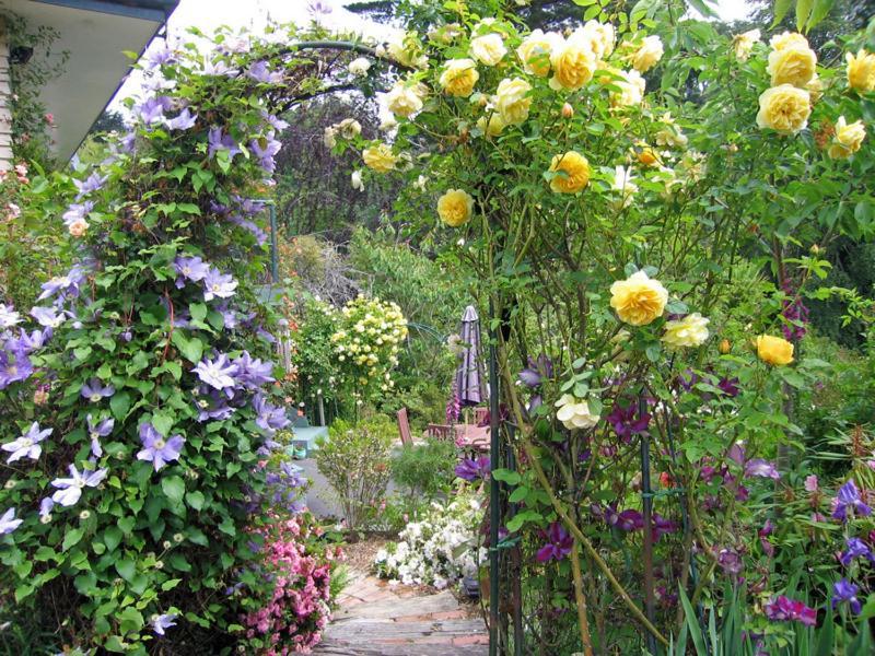 Mcauley Glen Boutique B&B Portobello Dış mekan fotoğraf